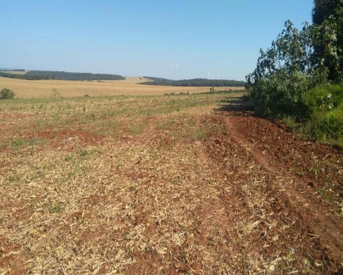 Fazenda à venda de 623 ha em Itapeva, SP, Brasil