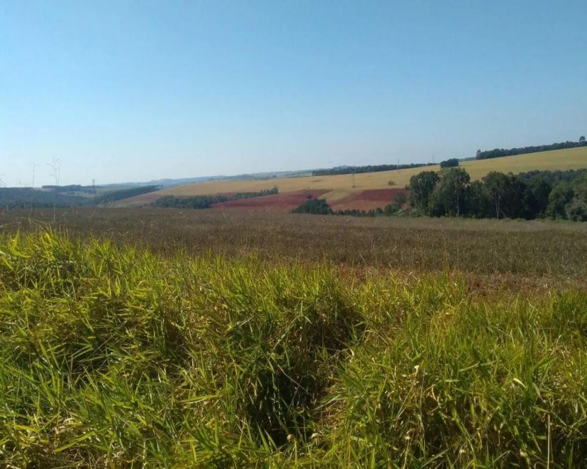 Fazenda à venda de 623 ha em Itapeva, SP, Brasil