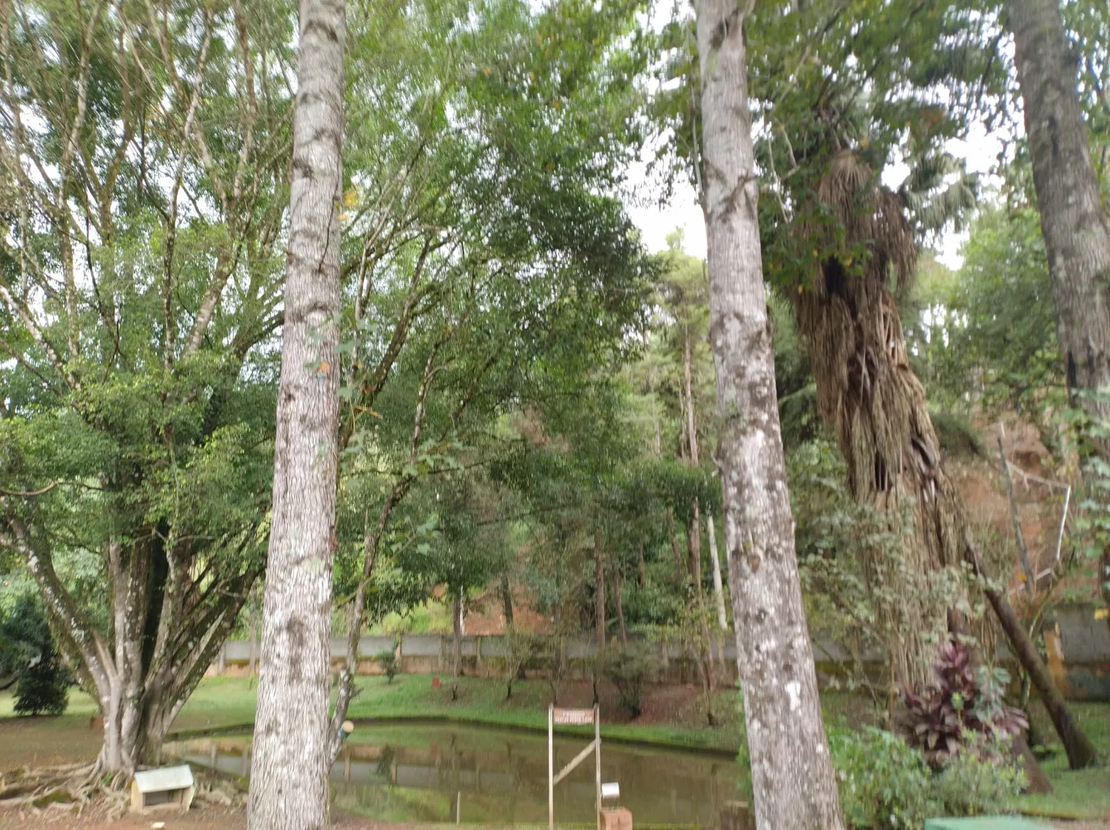 Country home for sale of 2 acres in São José dos Campos, SP, Brazil
