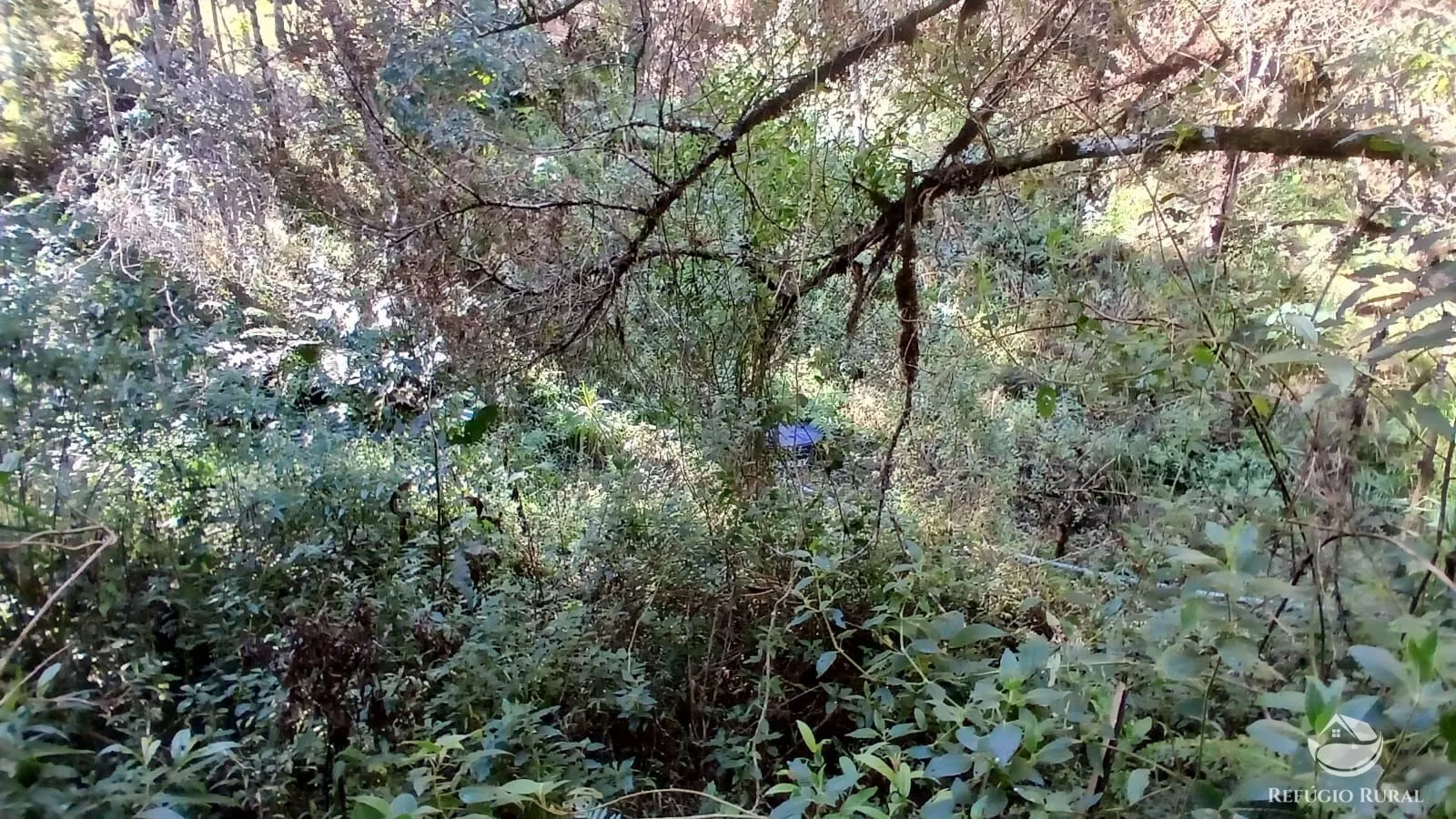 Country home for sale of 5 acres in Gonçalves, MG, Brazil