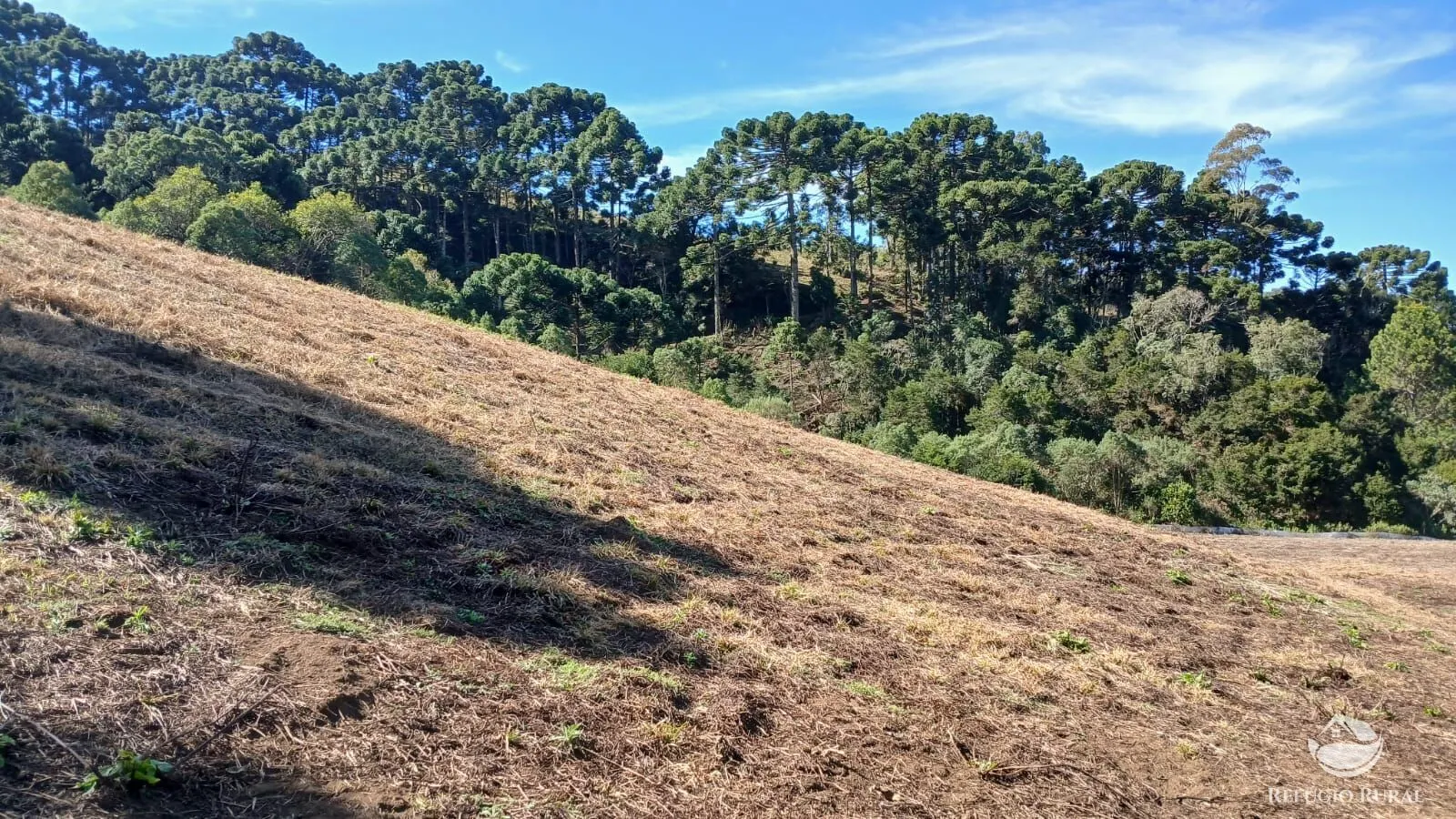 Country home for sale of 5 acres in Gonçalves, MG, Brazil