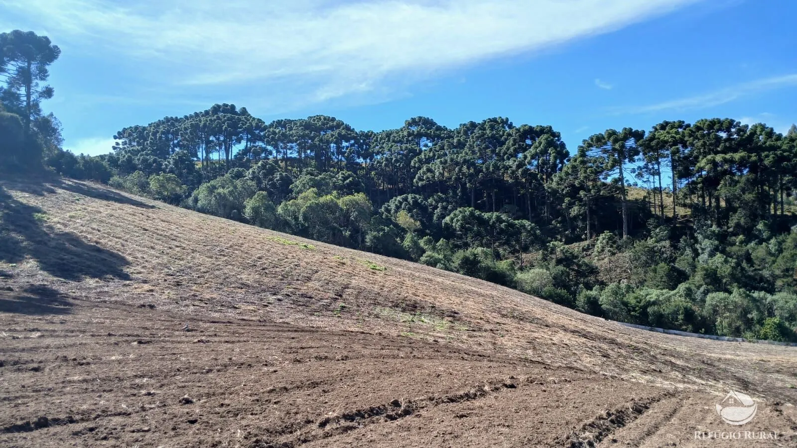 Country home for sale of 5 acres in Gonçalves, MG, Brazil