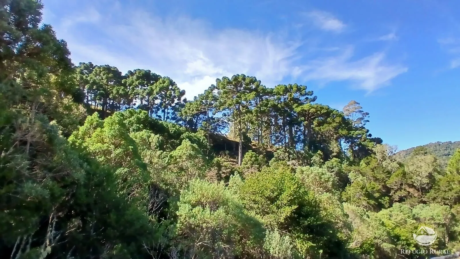 Country home for sale of 5 acres in Gonçalves, MG, Brazil