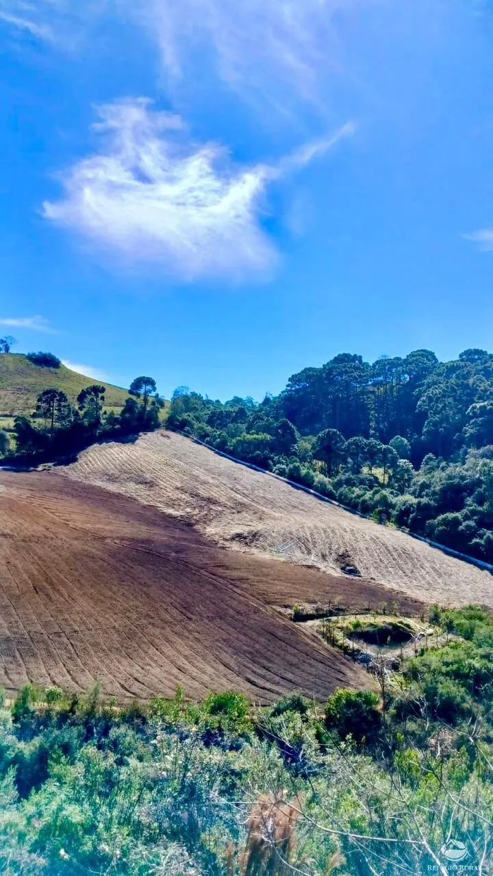 Chácara à venda de 2 ha em Gonçalves, MG, Brasil