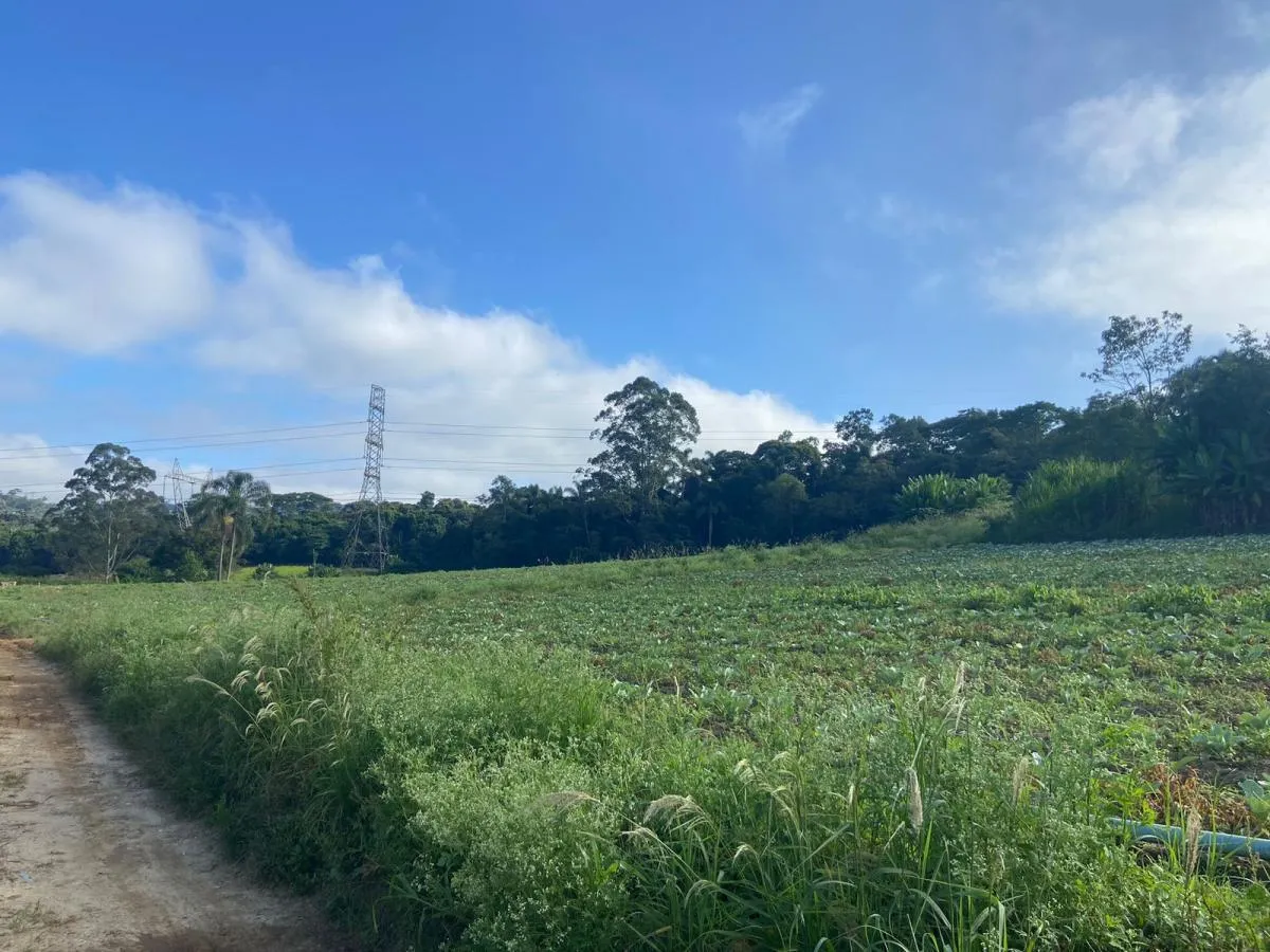 Sítio à venda de 19 ha em Suzano, SP, Brasil