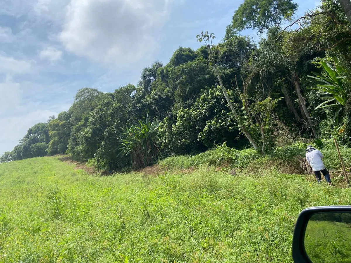 Sítio à venda de 19 ha em Suzano, SP, Brasil