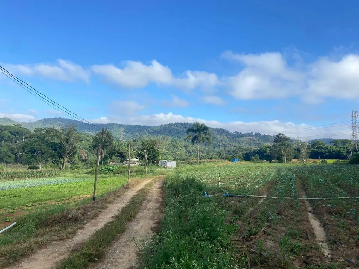 Sítio à venda de 19 ha em Suzano, SP, Brasil