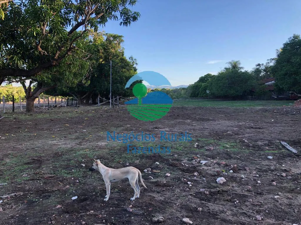 Farm for sale of 8,248 acres in Paranã, TO, Brazil