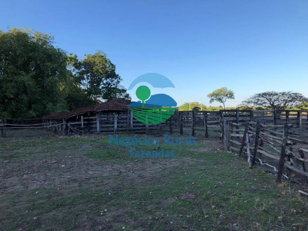 Farm for sale of 8,248 acres in Paranã, TO, Brazil