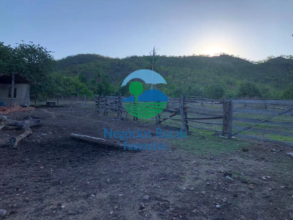 Farm for sale of 8,248 acres in Paranã, TO, Brazil