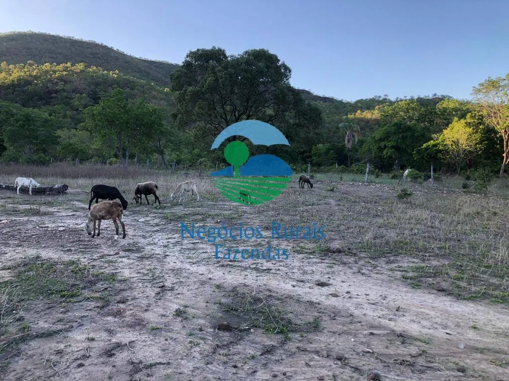 Farm for sale of 8,248 acres in Paranã, TO, Brazil