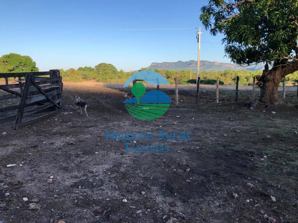 Farm for sale of 8,248 acres in Paranã, TO, Brazil