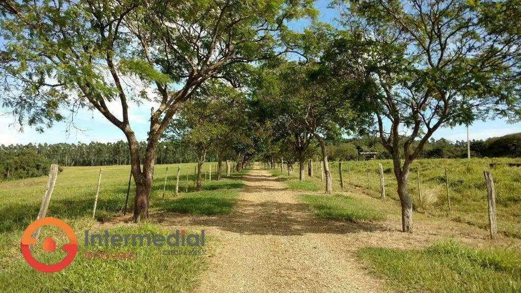 Fazenda à venda de 194 ha em Quadra, SP, Brasil