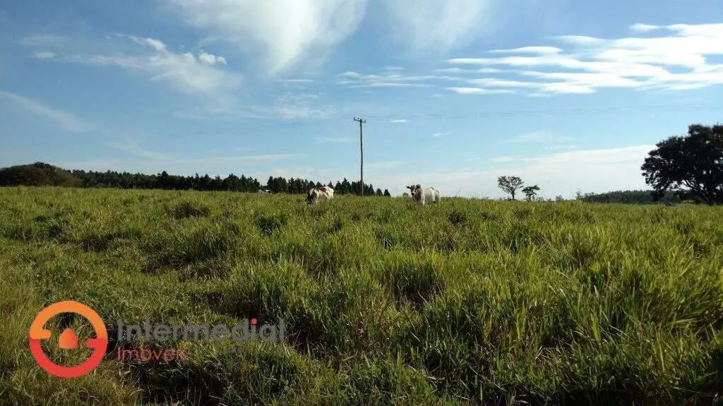 Fazenda à venda de 194 ha em Quadra, SP, Brasil