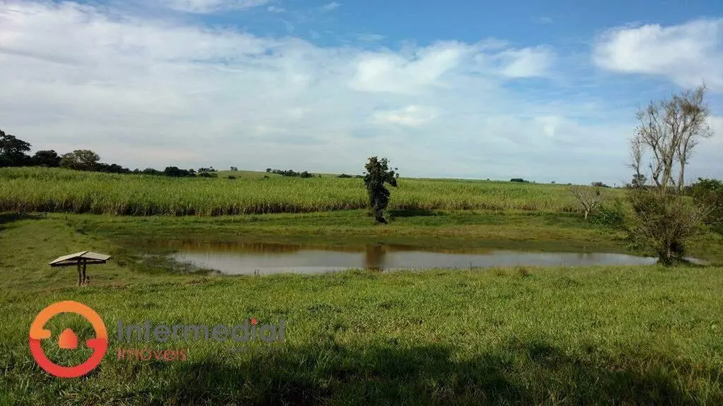 Fazenda à venda de 194 ha em Quadra, SP, Brasil