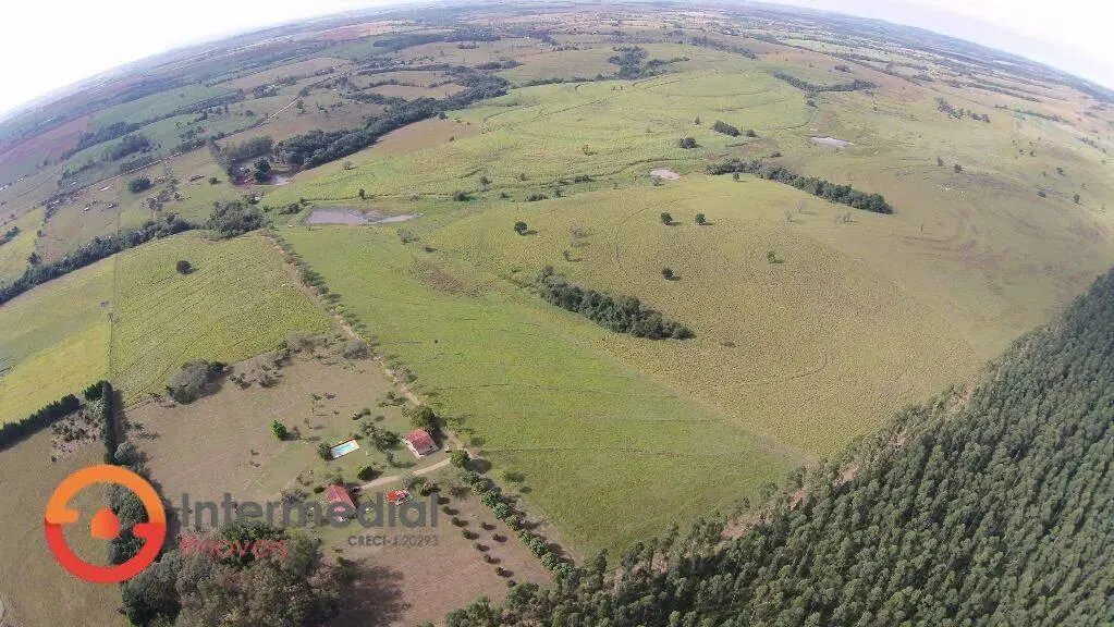 Fazenda à venda de 194 ha em Quadra, SP, Brasil