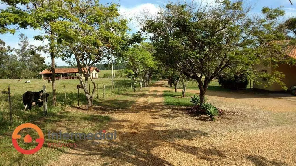 Fazenda à venda de 194 ha em Quadra, SP, Brasil