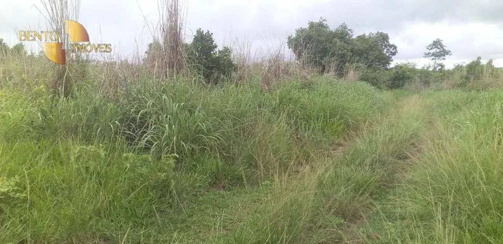 Fazenda à venda de 278 ha em Nobres, MT, Brasil