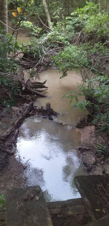Fazenda à venda de 278 ha em Nobres, MT, Brasil