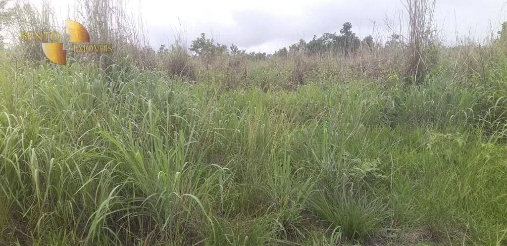 Fazenda à venda de 278 ha em Nobres, MT, Brasil