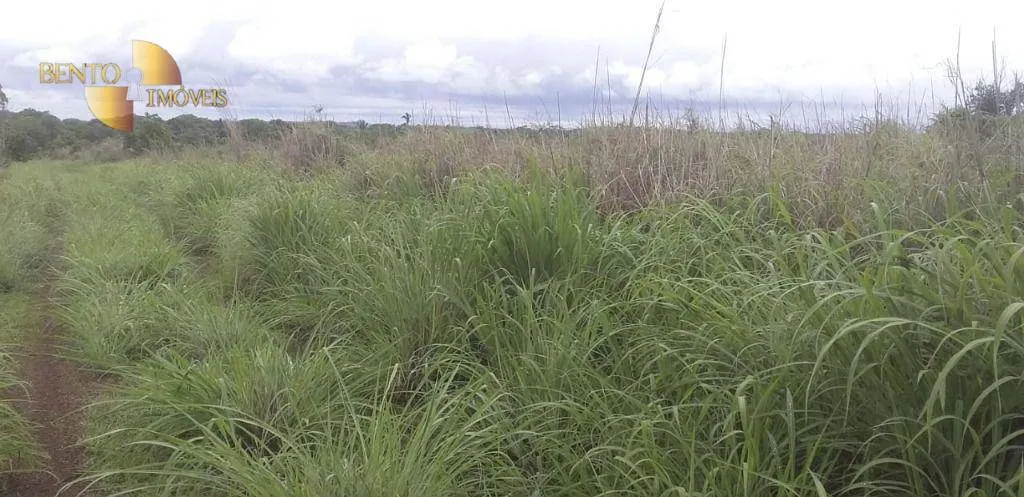 Fazenda à venda de 278 ha em Nobres, MT, Brasil
