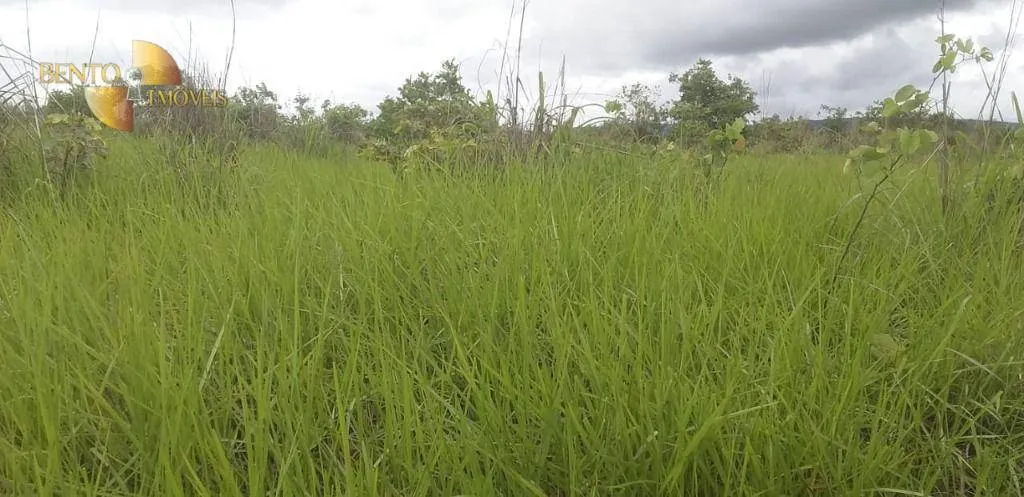 Fazenda à venda de 278 ha em Nobres, MT, Brasil