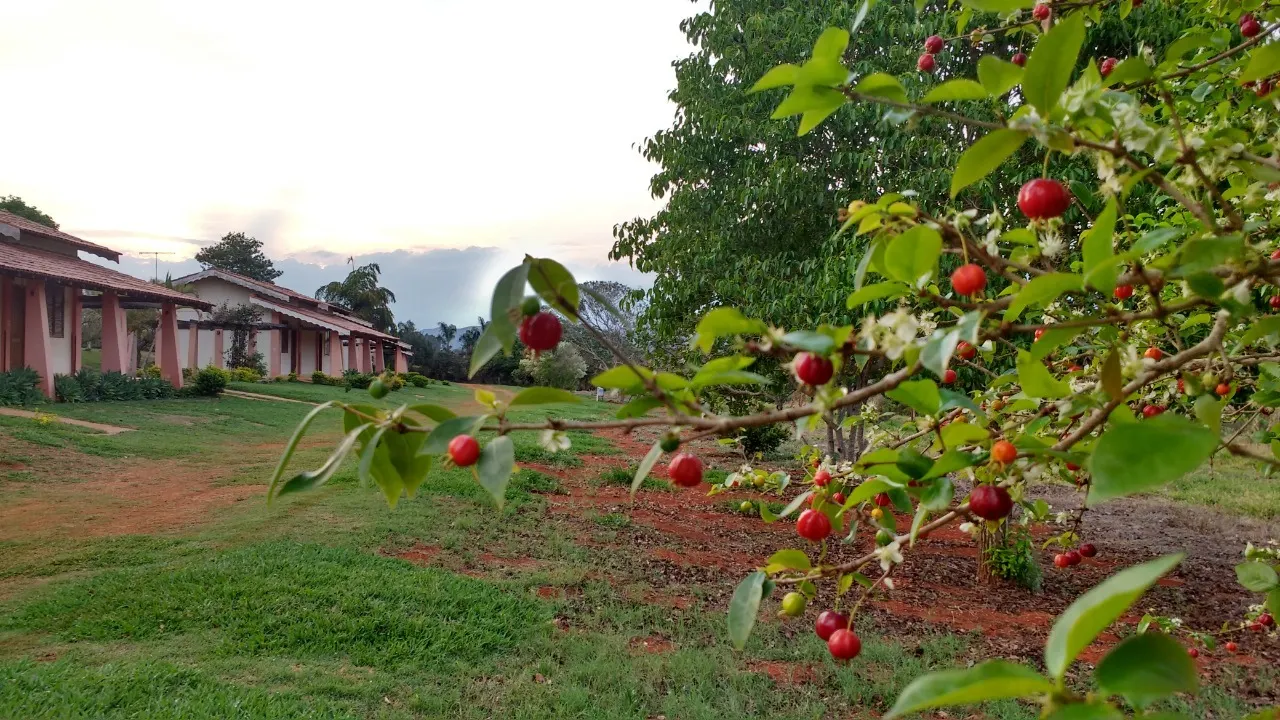 Sítio à venda de 10 ha em Boa Esperança, MG, Brasil