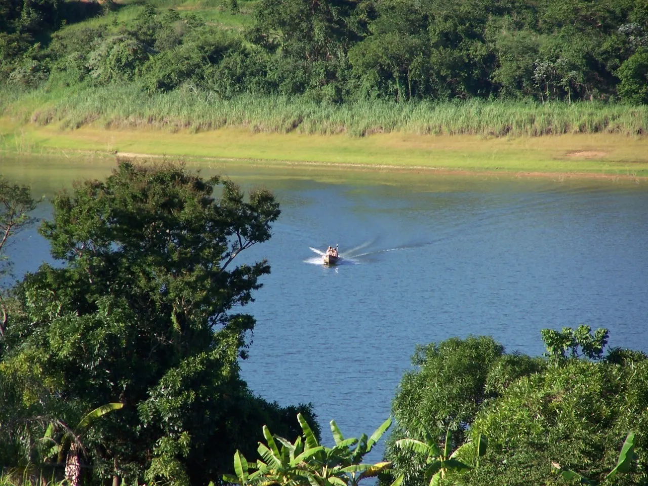 Sítio à venda de 10 ha em Boa Esperança, MG, Brasil
