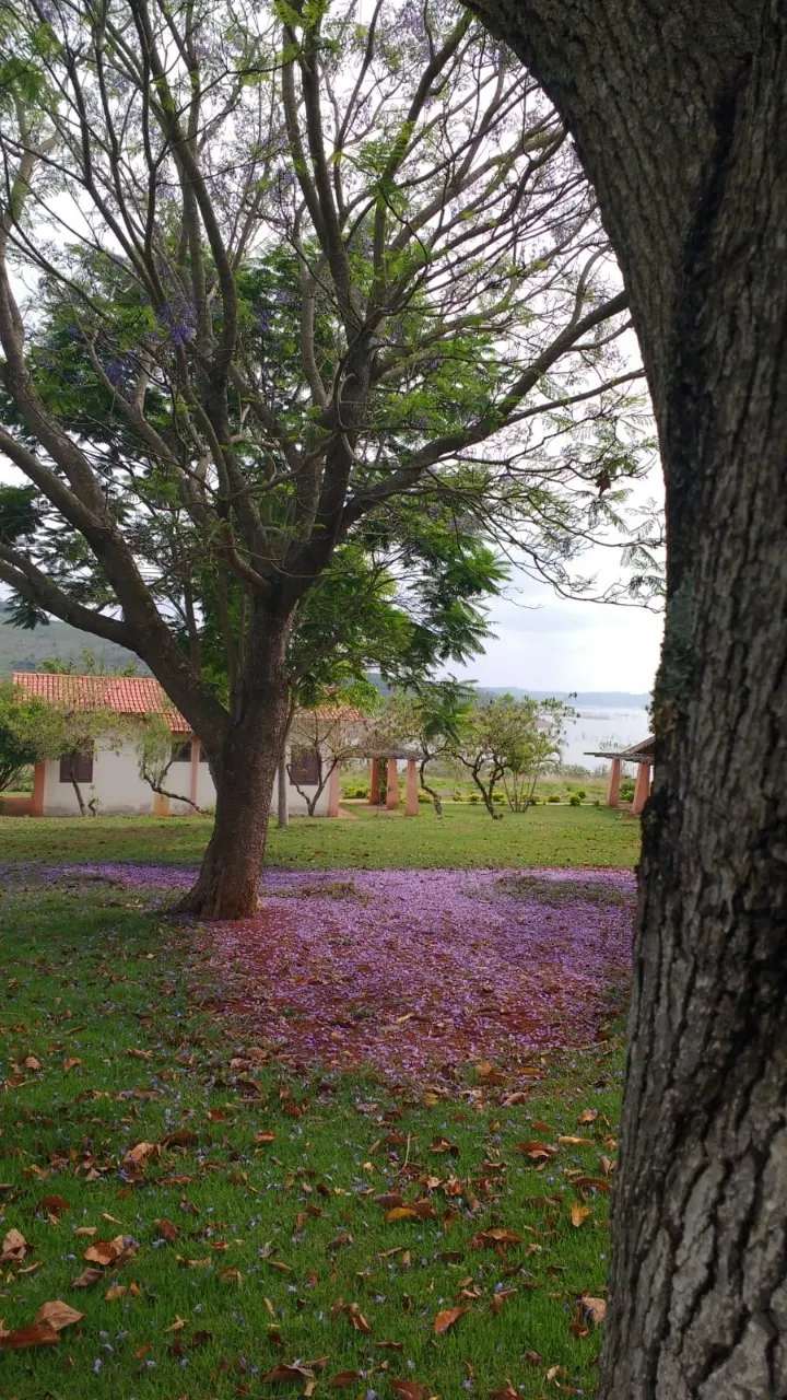 Sítio à venda de 10 ha em Boa Esperança, MG, Brasil