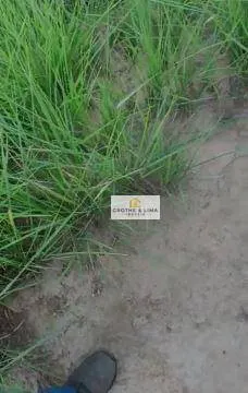 Fazenda à venda de 4.840 ha em Goiatins, TO, Brasil