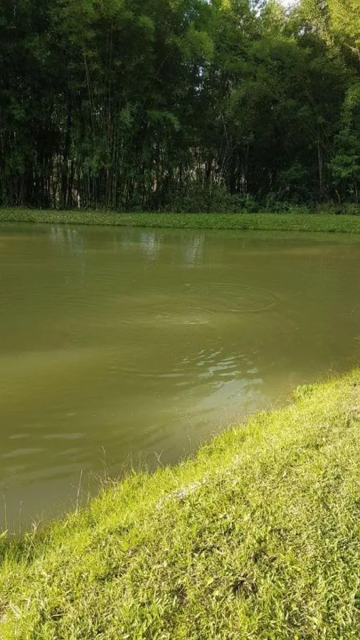 Sítio à venda de 15 ha em Embu-Guaçu, SP, Brasil