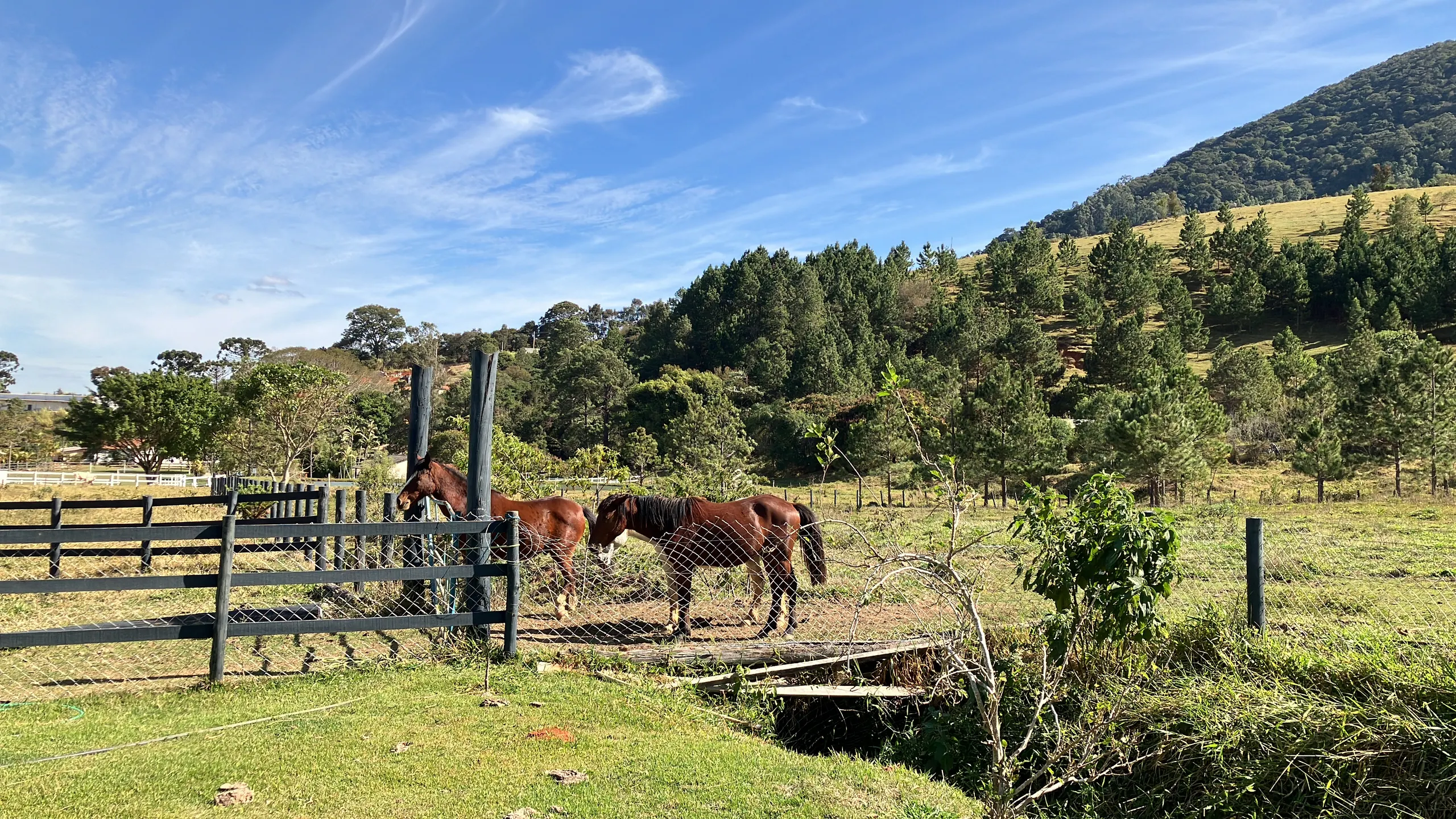 Sítio à venda de 3 ha em Joanópolis, SP, Brasil