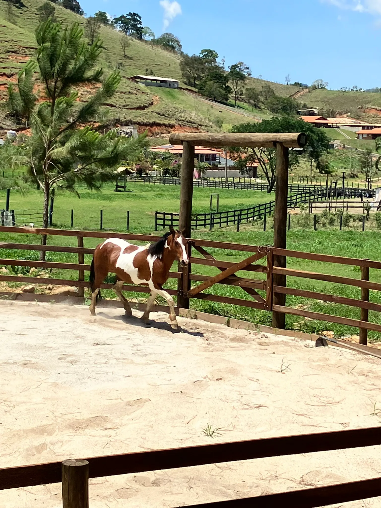 Sítio à venda de 3 ha em Joanópolis, SP, Brasil