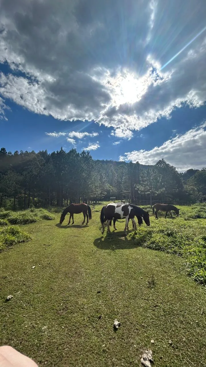 Sítio à venda de 3 ha em Joanópolis, SP, Brasil