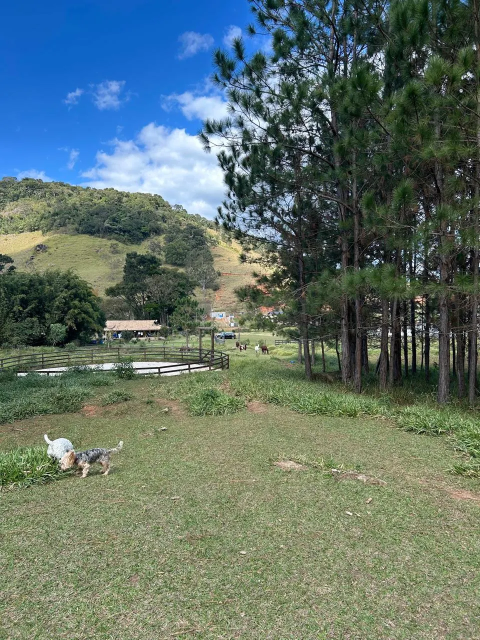 Sítio à venda de 3 ha em Joanópolis, SP, Brasil