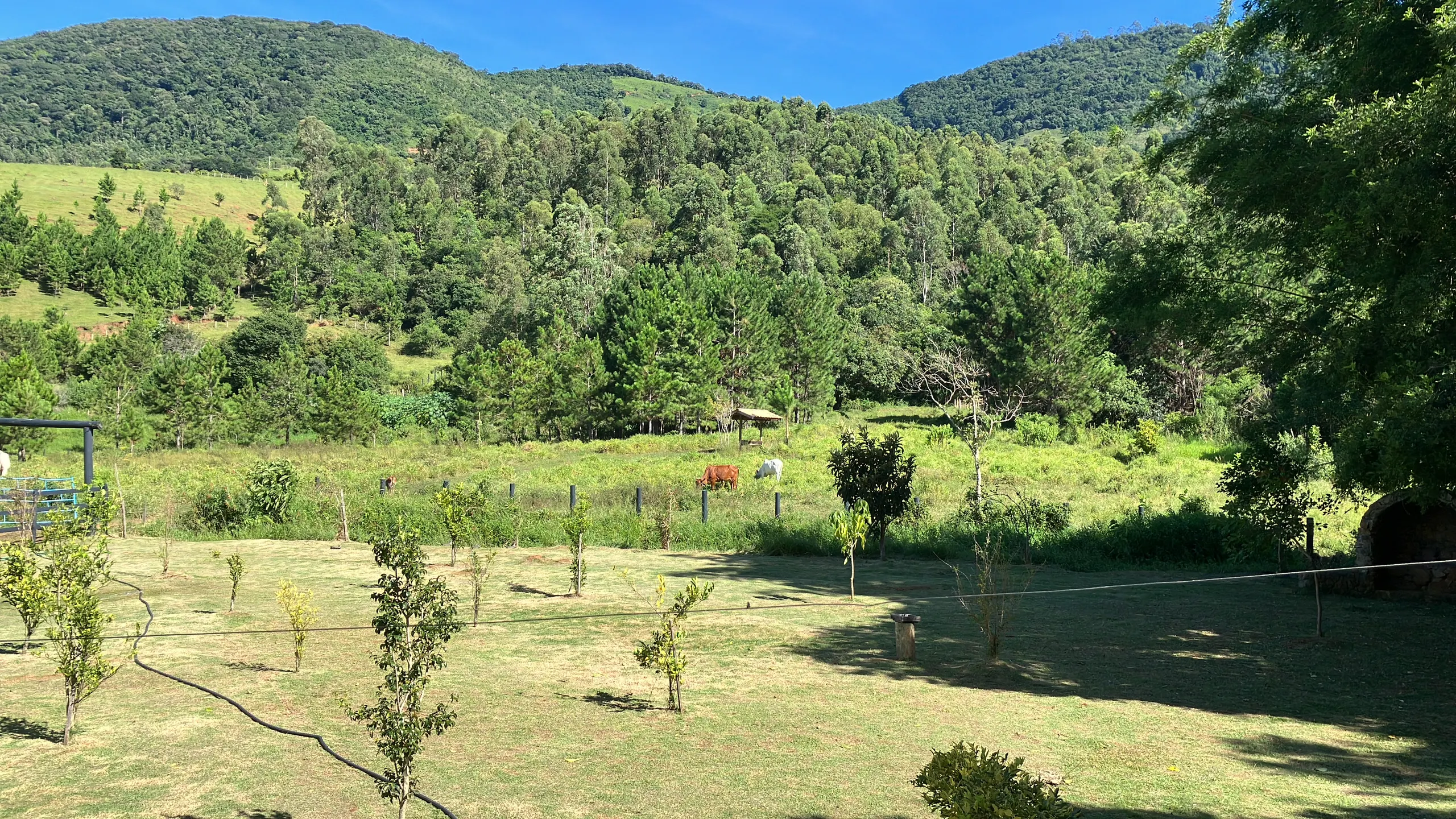 Sítio à venda de 3 ha em Joanópolis, SP, Brasil