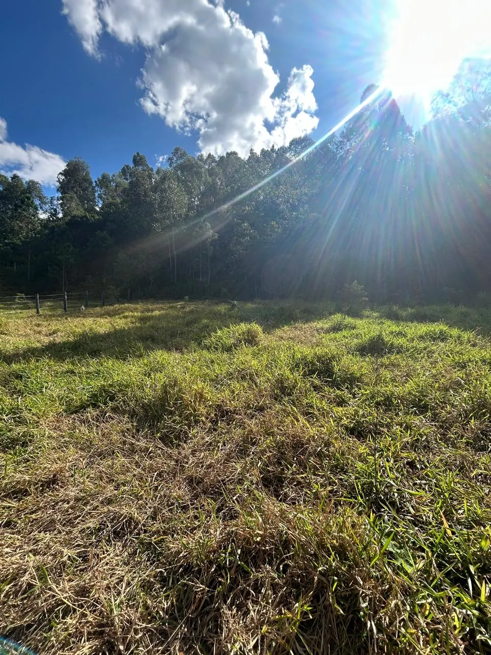 Sítio à venda de 3 ha em Joanópolis, SP, Brasil