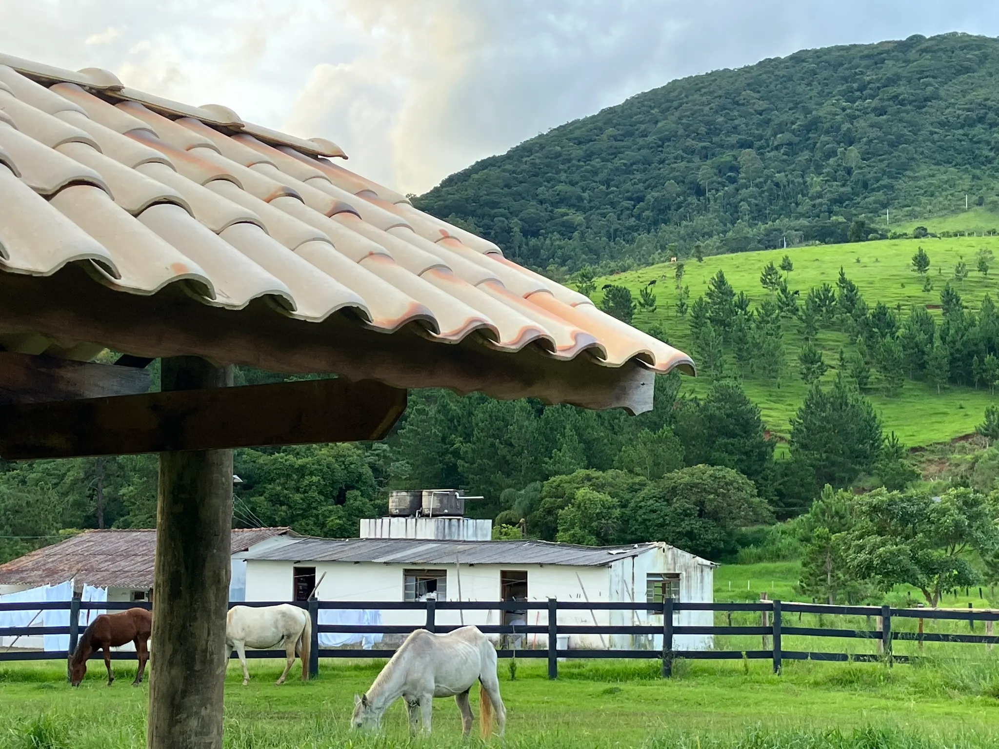 Sítio à venda de 3 ha em Joanópolis, SP, Brasil