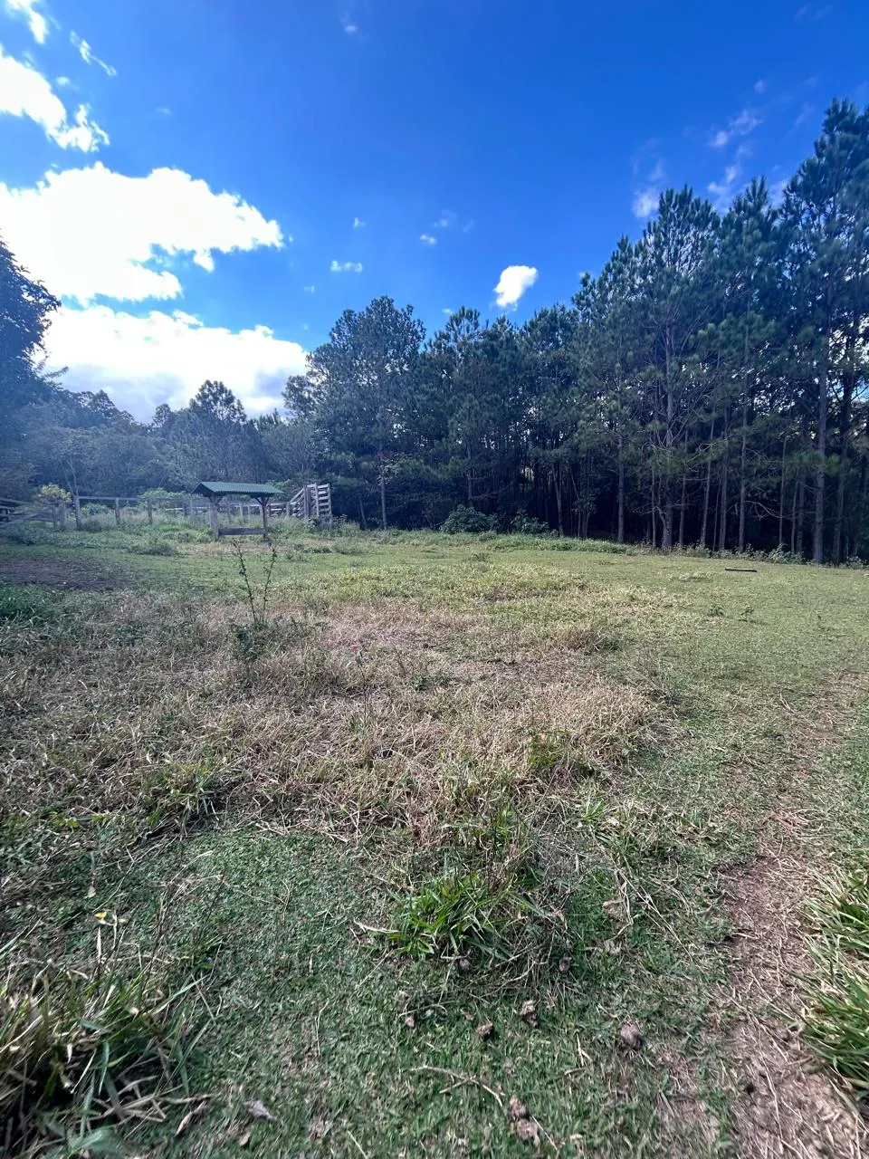 Sítio à venda de 3 ha em Joanópolis, SP, Brasil