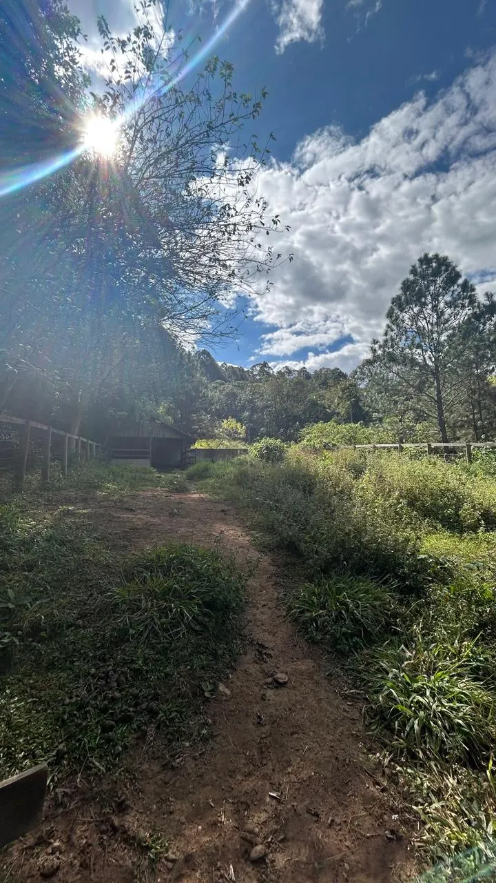 Sítio à venda de 3 ha em Joanópolis, SP, Brasil