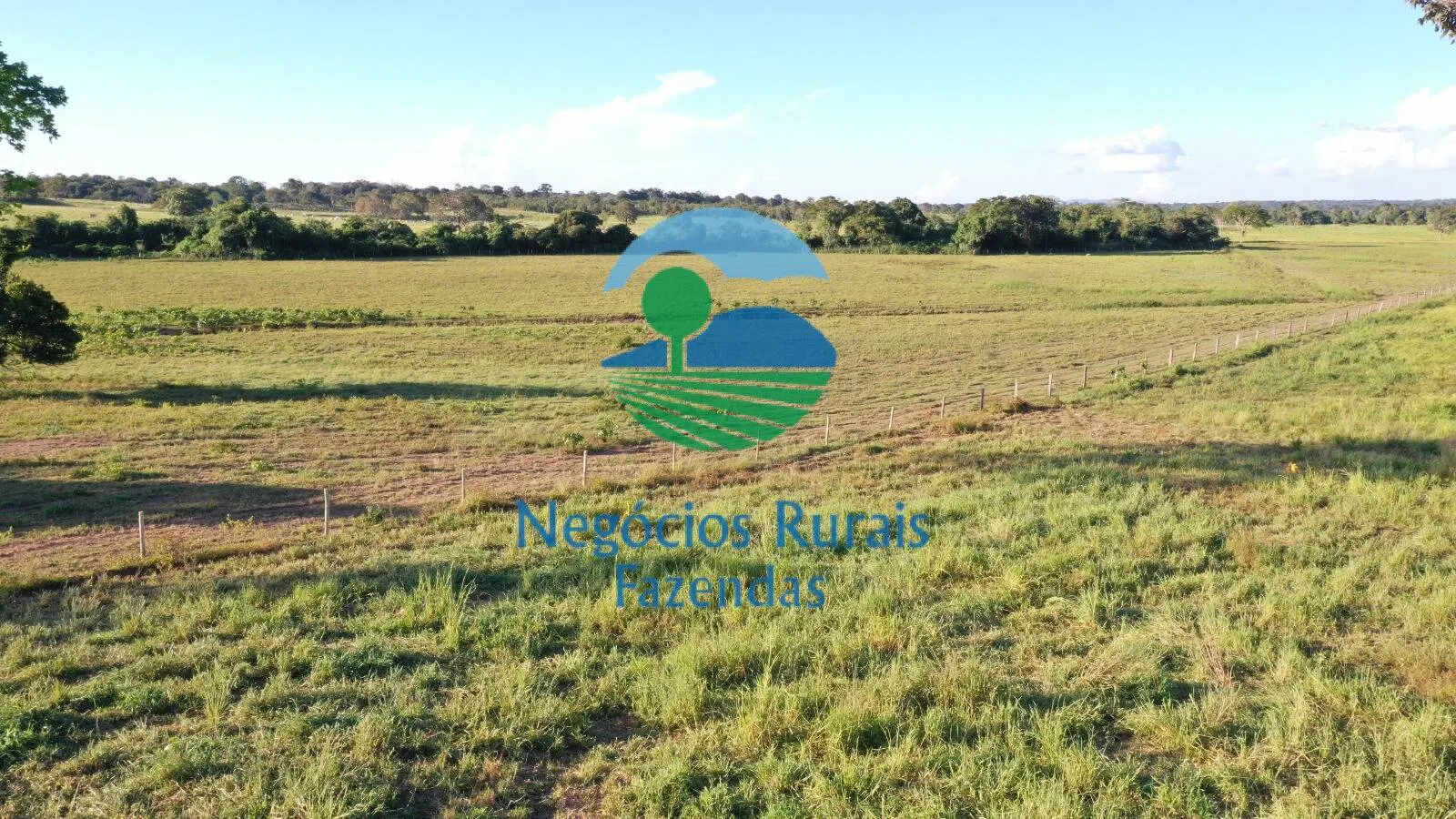 Farm for sale of 1,794 acres in Mara Rosa, GO, Brazil
