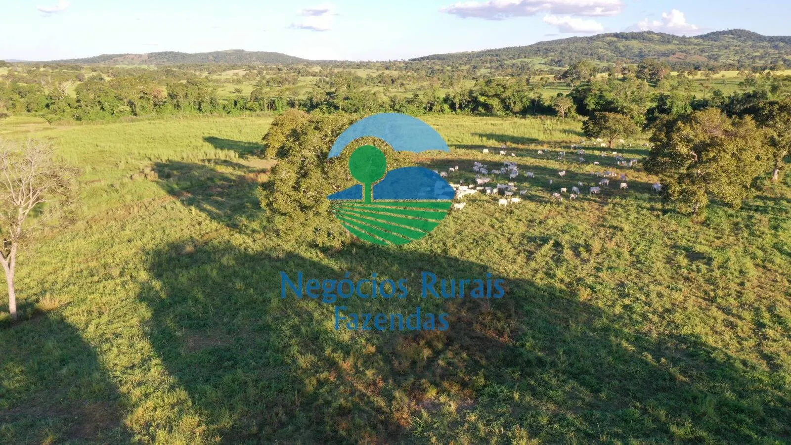 Farm for sale of 1,794 acres in Mara Rosa, GO, Brazil