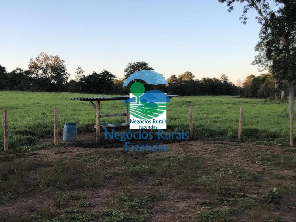 Farm for sale of 1,794 acres in Mara Rosa, GO, Brazil