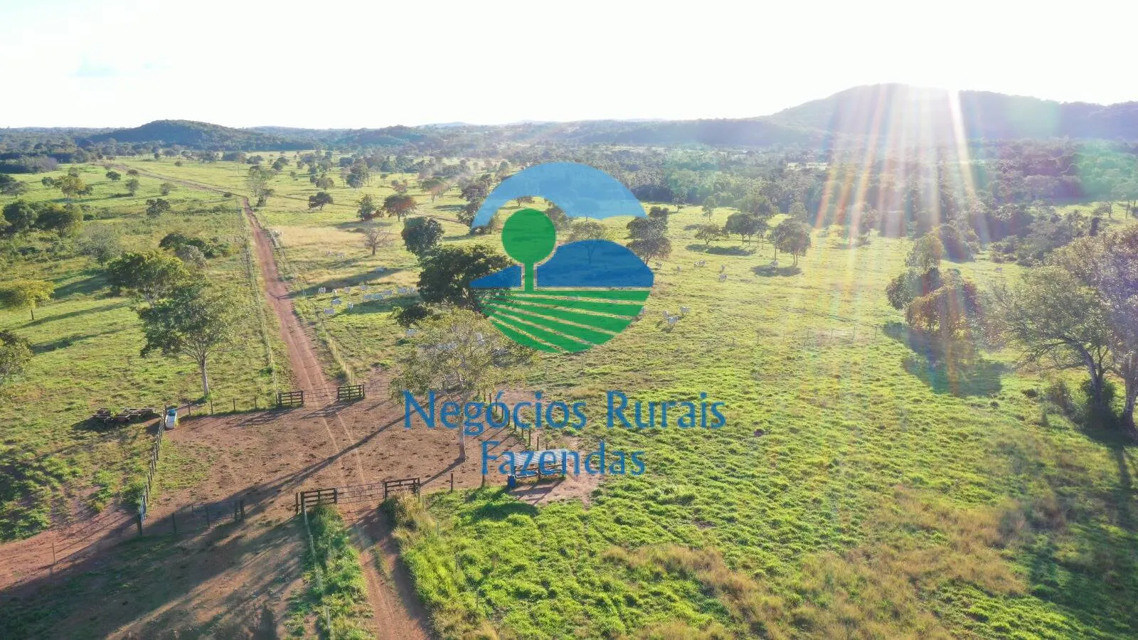 Farm for sale of 1,794 acres in Mara Rosa, GO, Brazil