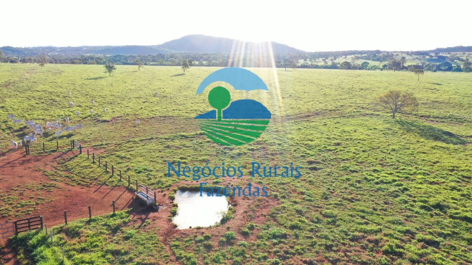 Farm for sale of 1,794 acres in Mara Rosa, GO, Brazil
