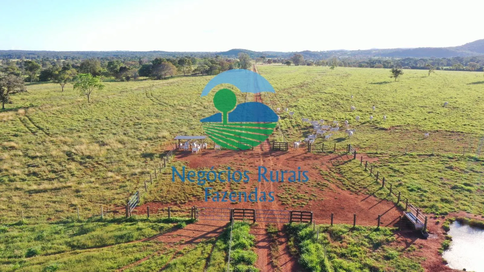 Farm for sale of 1,794 acres in Mara Rosa, GO, Brazil