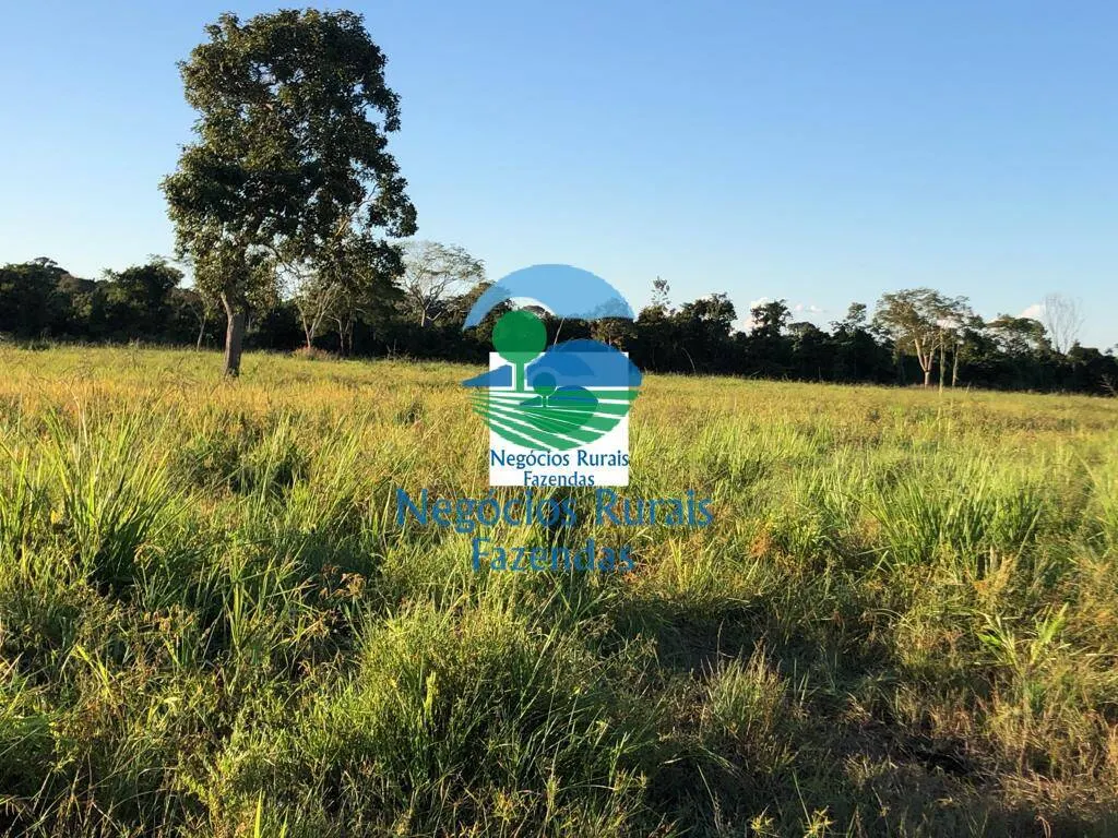 Farm for sale of 1,794 acres in Mara Rosa, GO, Brazil