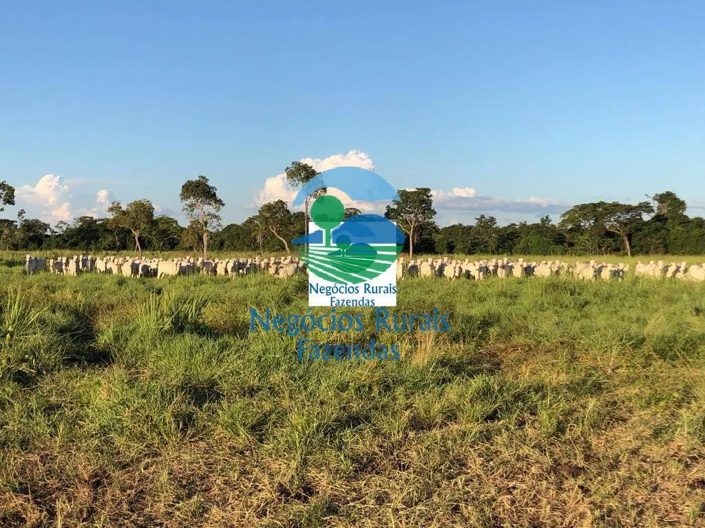 Farm for sale of 1,794 acres in Mara Rosa, GO, Brazil
