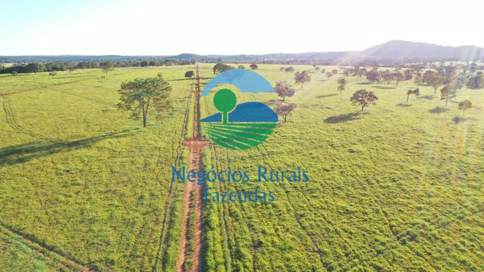 Farm for sale of 1,794 acres in Mara Rosa, GO, Brazil