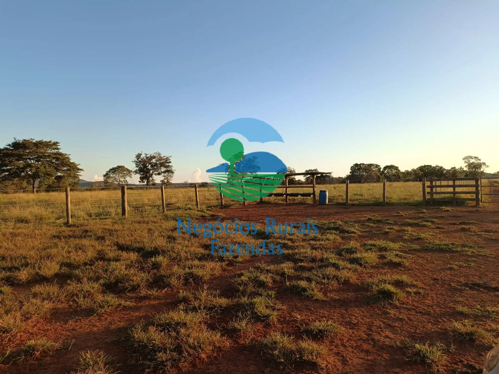 Farm for sale of 1,794 acres in Mara Rosa, GO, Brazil